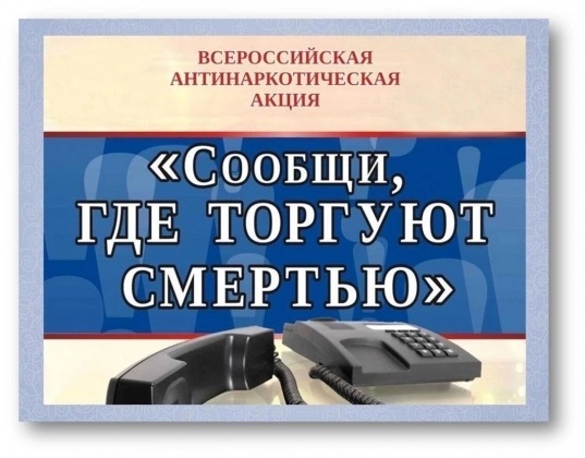 В Вологодской области стартует ежегодная Общероссийская акция «Сообщи, где торгуют смертью»